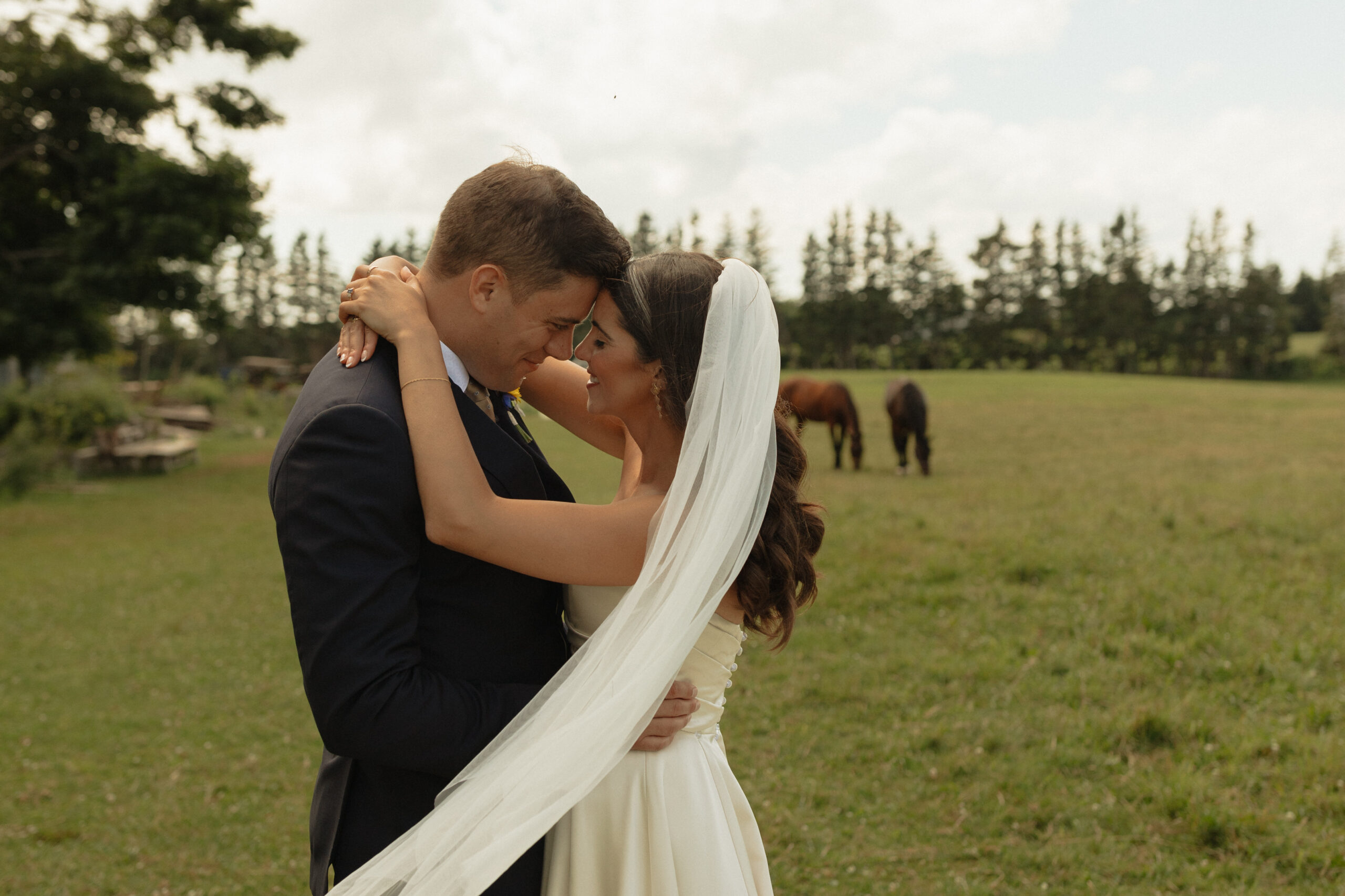 bride and groom dancing in field with horses in the background